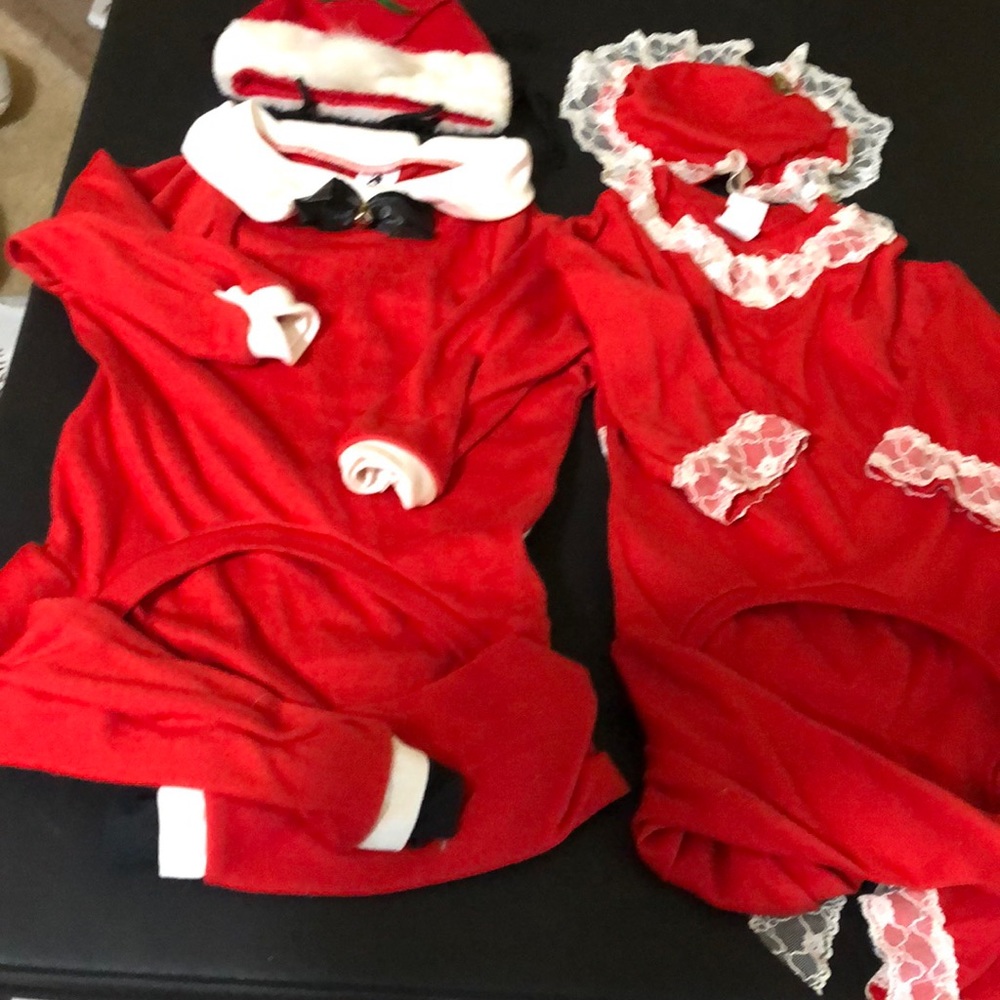 Dog costumes